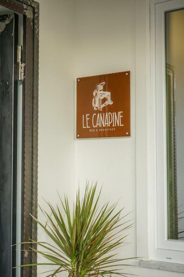 B&B Le Canapine Frattamaggiore Eksteriør billede